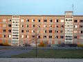 Bild zu "Friedenstaube" stirbt