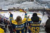 Bild zu Lausitzer Fchse starten Ticketverkauf fr DEL2-Hauptrunden-Heimspiele