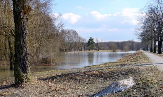 Bild zu Vollsperrung der B 115 zwischen Krauschwitz und Bad Muskau