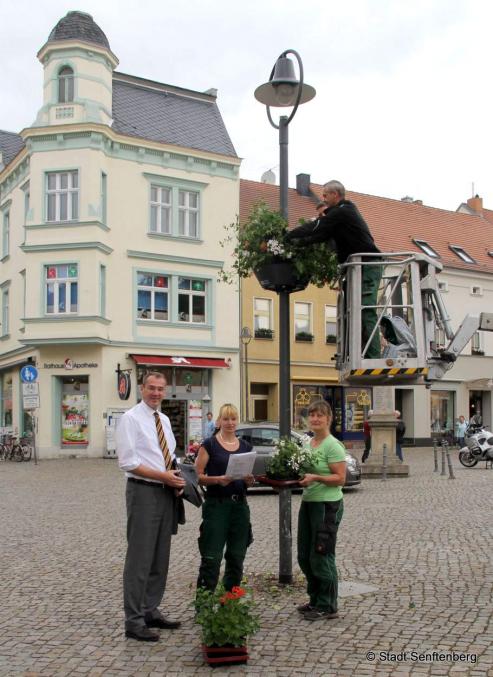 Bild zu Mehr Blumen auf dem Senftenberger Marktplatz