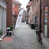 Bild zu CBD als Trend-Produkt  was macht die le so beliebt? 