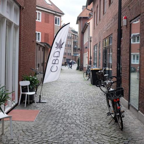 Bild zu CBD als Trend-Produkt  was macht die le so beliebt? 
