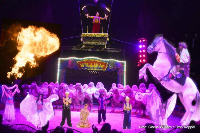 So ein Zirkus! So ein Zirkus!