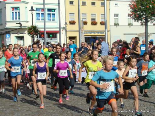 Bild zu 20. Senftenberger Citylauf mit Adi