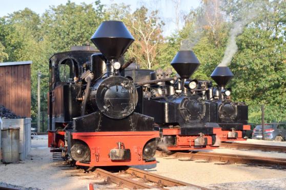 Bild zu Mit historischen Dampfloks zum Kromlauer Park- und Bltenfest