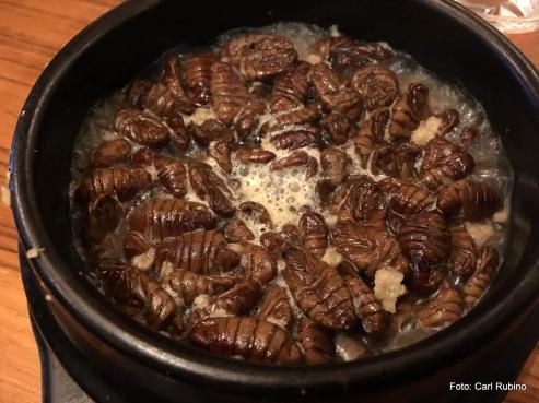 Bild zu Insekten essen?