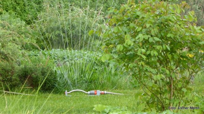 Wasser und Garten, das gehrt zusammen