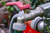 Bild zu Perfekte Wasser- und Abwassersysteme im eigenen Garten