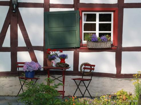 Bild zu Entspannte Zeit im Garten