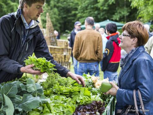 Bild zu 7.000 Besucher beim Gartenfestival Park & Schloss Branitz