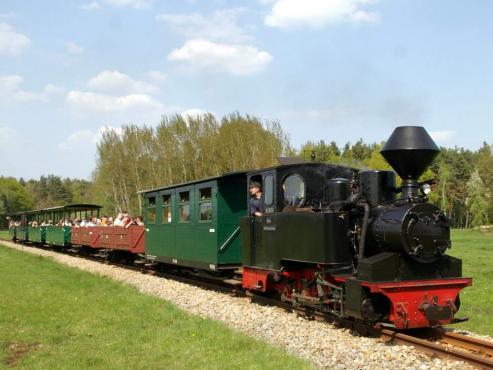 Bild zu Waldeisenbahn Muskau dampft zum Jahreshhepunkt