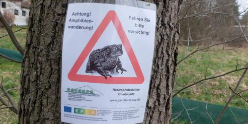Bild zu Halbseitige Sperrung und Ampelregelung auf der Staatsstrae S 127
