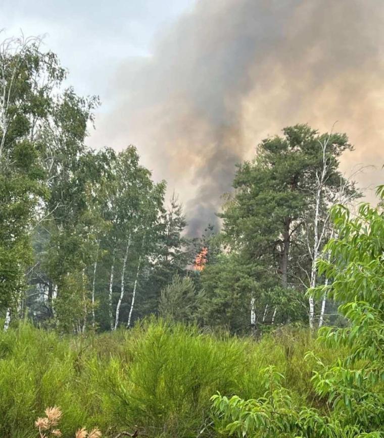 Bild zu Dank an Feuerwehr und Helfer nach Einsatz in Gohrischheide