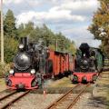 Dampflokspektakel zum Park- und Bltenfest in Kromlau