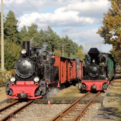 Bild zu Dampflokspektakel zum Park- und Bltenfest in Kromlau