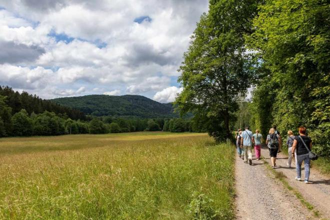 Bild zu Wandern in Schlesien