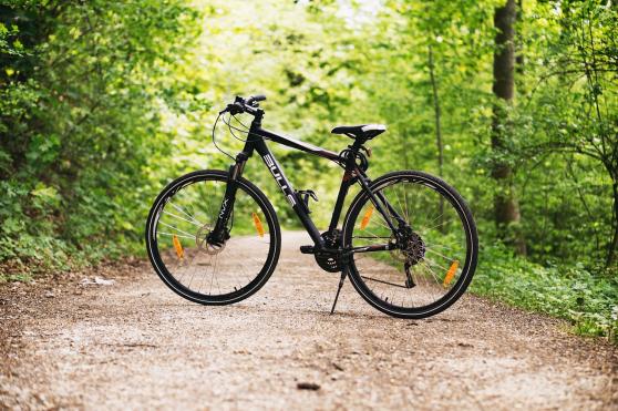 Bild zu Radlerfreude: 21. Sternradfahrt zum Olbersdorfer See