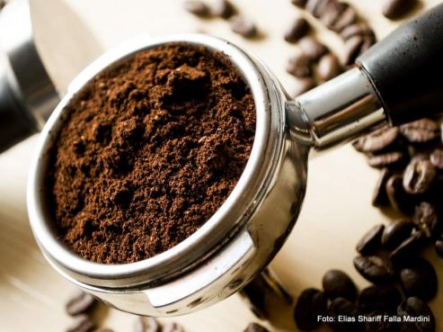 Bild zu Barista: Von Beruf Kaffee-Experte