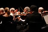 Bild zu Die Neue Lausitzer Philharmonie ldt zum Neujahrskonzert in Niesky