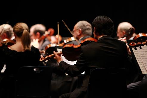 Bild zu Die Neue Lausitzer Philharmonie ldt zum Neujahrskonzert in Niesky