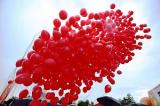 Bild zu Luftballons, Helium-Ballons, Ballon-Dekorationen, Helium Zylinder Grlitz