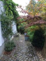 Bild zu Eigenheim mit groer Terrasse und schnem Garten in Lbau zu vermieten