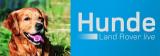 Bild zu Hans Schlegel: Hundeerziehung kann so einfach sein